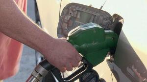 Record-High Gas Prices Encourage Fuel Efficient Adjustments